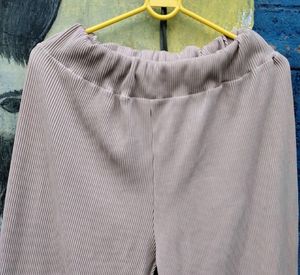 Plazo Pant