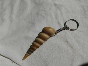 Unique Seashell Keychain