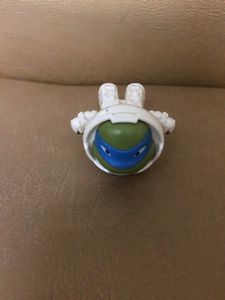 Teenage Mutant Ninja Turtle