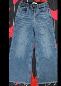 Light Wash Blue Stretchable Ankle Length denim