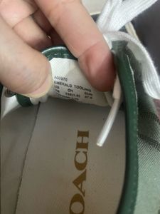Coach Olive Green Sneakers