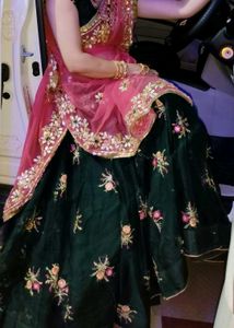 Embroidered Lehenga Choli Set