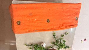 Orange Saree with Embellishments