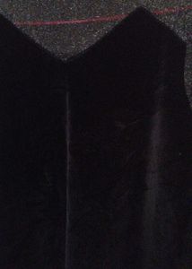 Sparkly Black Velvet Top