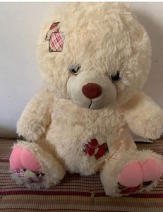 Cute Cream Teddy Bear