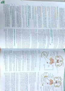 Indu khurana- Medical Physiology Edition-2