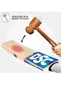 DSC English Willow Cricket Bat