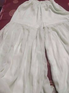 Beautiful Light Green Palazzo Pants