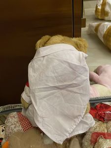 Adorable Teddy Bear Toy