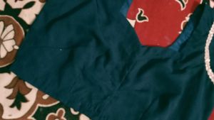 Sari With Blouse Petticoat