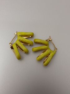 Premium Enamel Coated Earrings