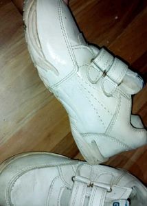 Gola White Velcro  school Sneakers