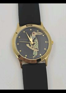 Citizen Parrot Royale
