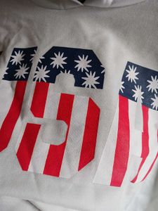 USA Graphic Crop Hoodie sweatshirt