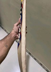 RNS Cricket Bat fish Cover