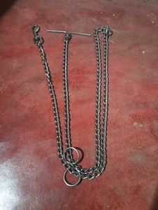 Dog Chain