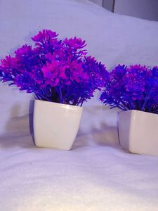 Set of 2 Purple Artificial Plants