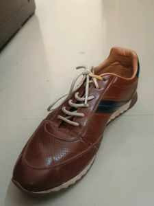 Very Nice Men's Shoes