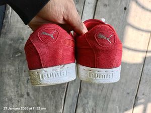 puma suede sneakers for men