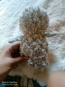 owl soft toy And Tote Bag