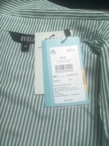 OYELA Striped Green Peplum Blouse – With Tags