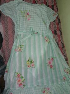 Light Green Floral Ethnic Gown