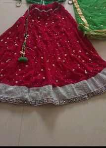 Embellished Lehenga Choli Set