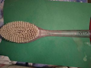 back rubbing brush
