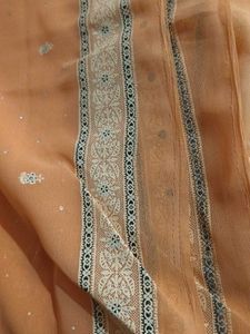 Peach Saree with Delicate Details and blouse piece