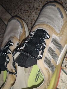 Adidas Sneakers