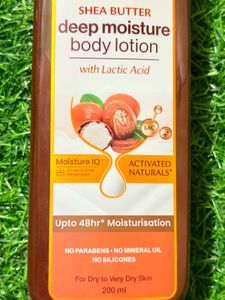 WOW  Shea Butter Body Lotion pack of 2
