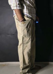 carhartt beige Cargo Pants