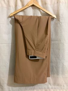 Zara pleated trouser