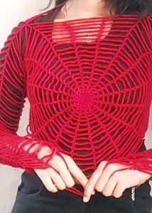 Unique Spiderweb Knit Top