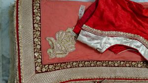 Elegant Peach Saree with Red Blouse