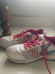 Campus shoes for boys/men uk size 5