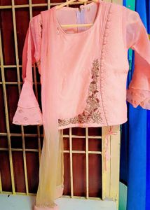Pink Embroidered Lehenga Choli