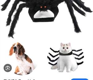 Fun Pet Spider Costume