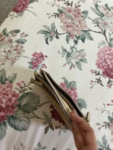 baggit Clutch Bag