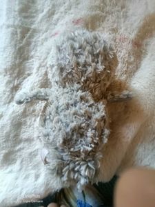 owl soft toy And Tote Bag