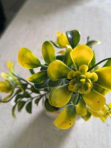 Artificial Yellow Flowers in Pot