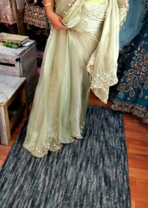 Elegant Pastel Green Embroidered Saree