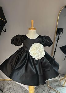 Elegant Black Puff Sleeve Dress