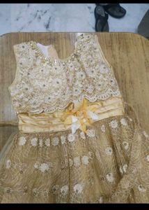 Elegant Embellished Lehenga Choli