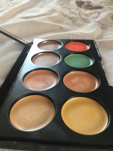 Professional Cream Concealer Palette