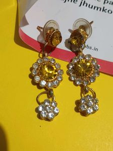 Sparkling Gold Earrings
