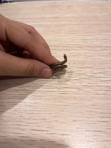 Unique Snake Ring