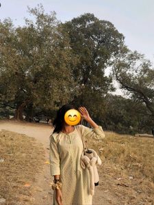 mint embroidered kurti