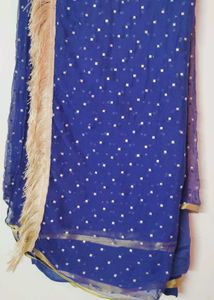 Elegant Blue Saree 2