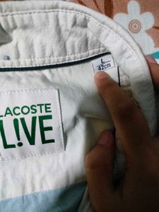 Lacoste LIVE Shirt
